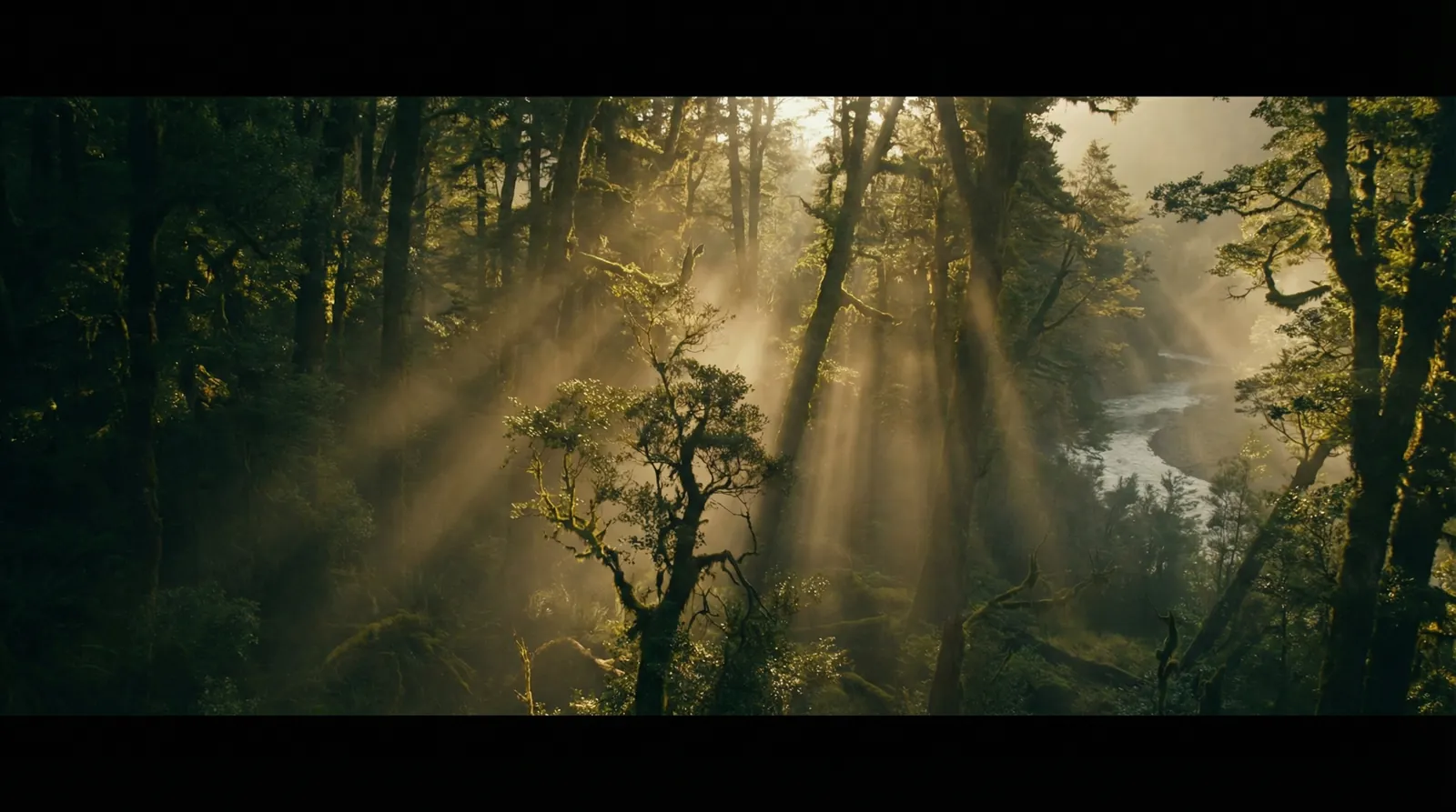 千岁小梅 自然纪录片风格调色案例